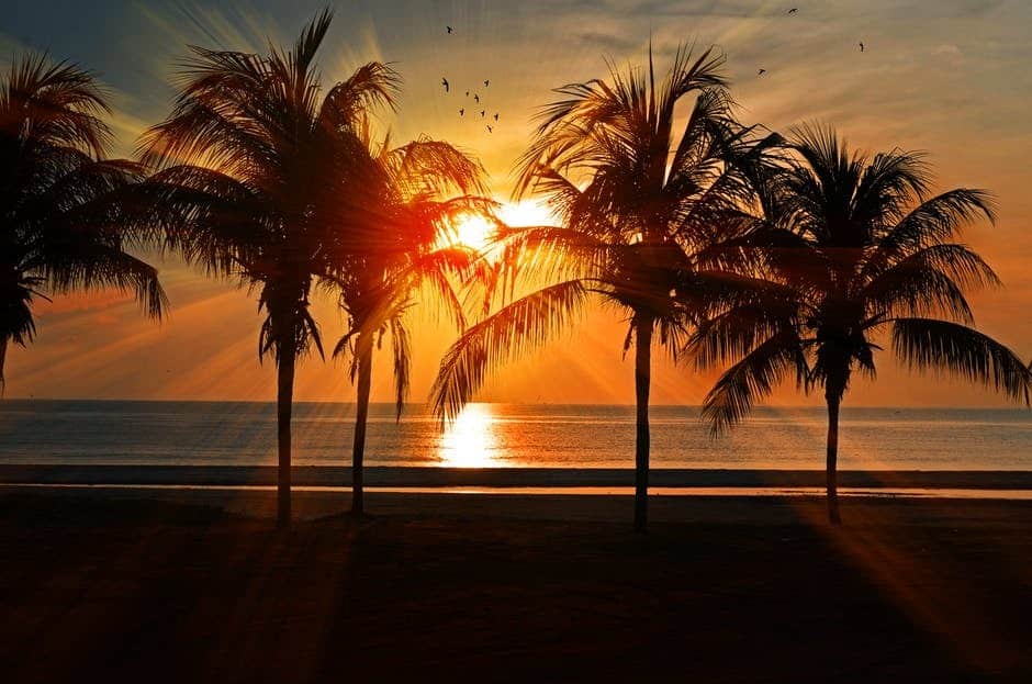 How to Enjoy Your Summer of Sobriety