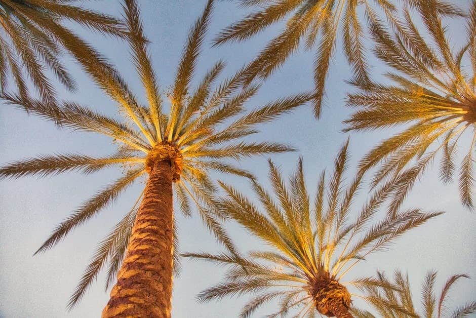 Get Out of the Malibu Rehab Scene: Why Villa Is Right for You